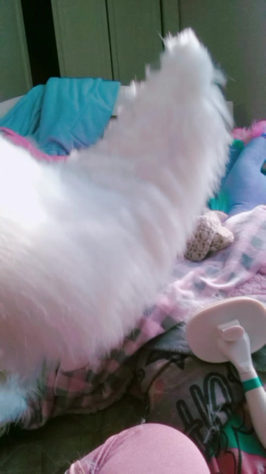@_cammy.mp4_