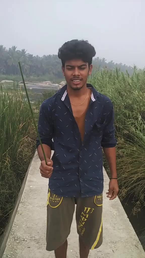 @user377260