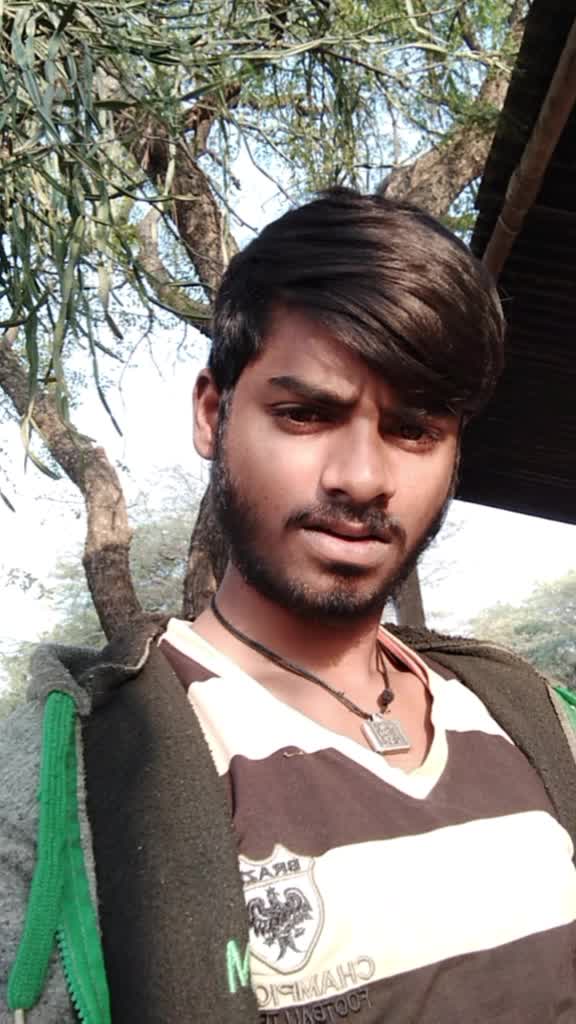 @Beard Dragon Rebel