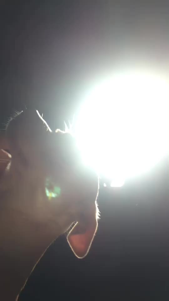@𝐿𝒾𝓁𝓁𝓎