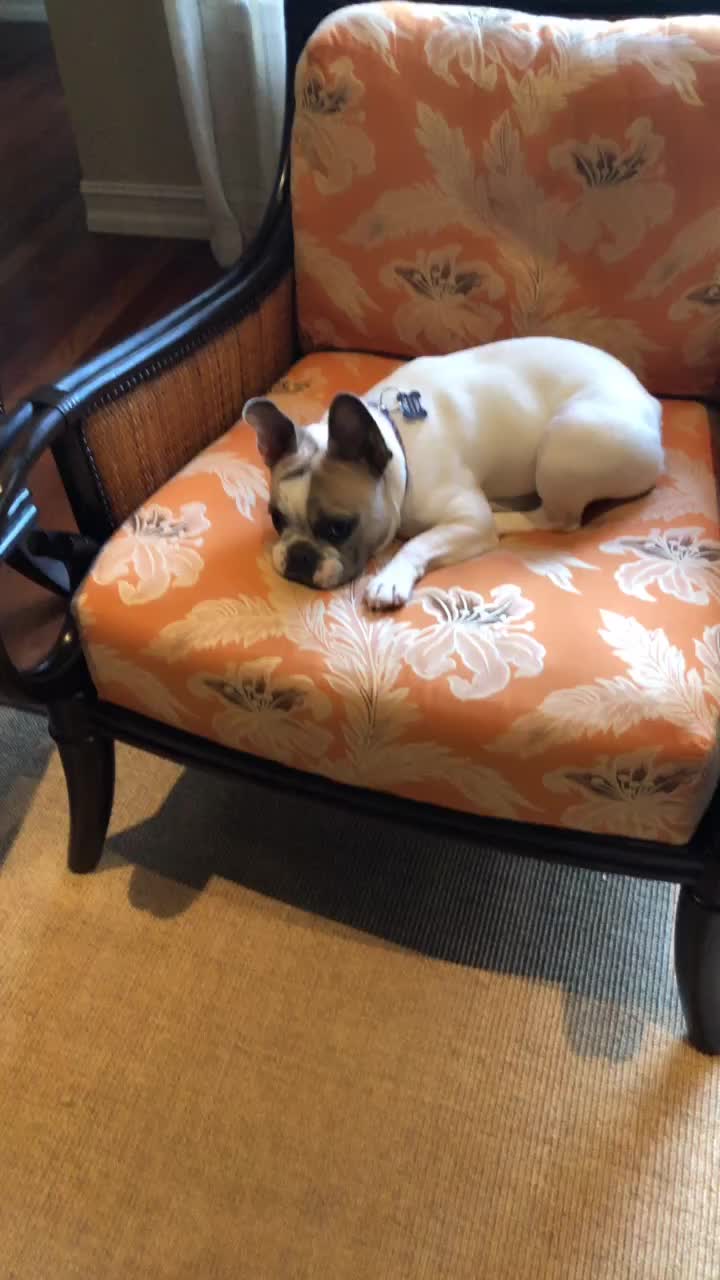 @discodogs13