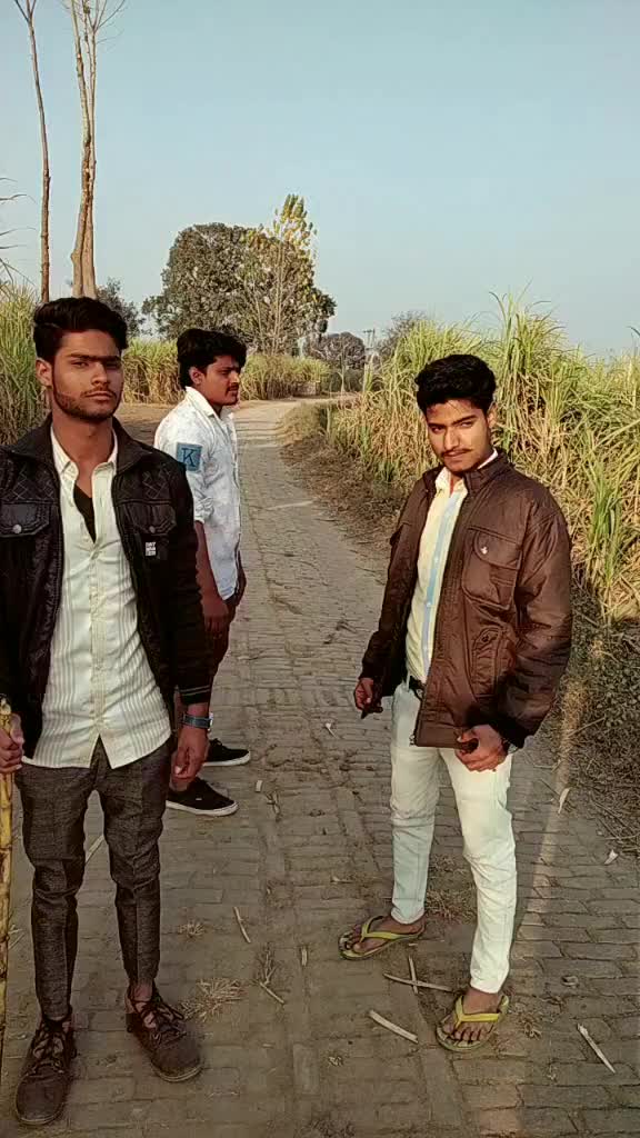@Shadab Ansari Shadab