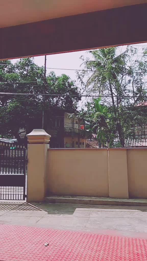 @Levin Kurisinkal