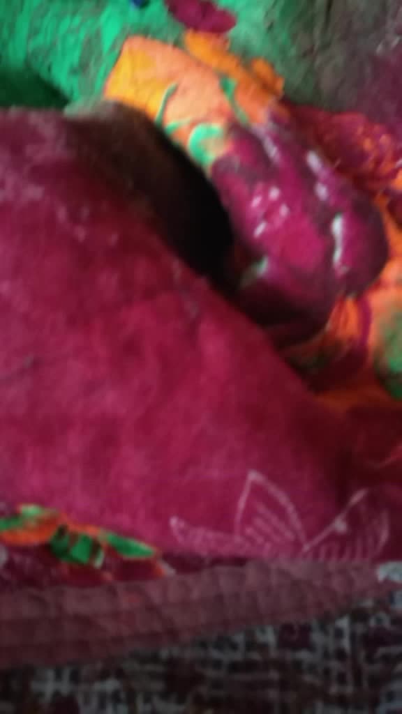 @Vipin Tintu Kalayil