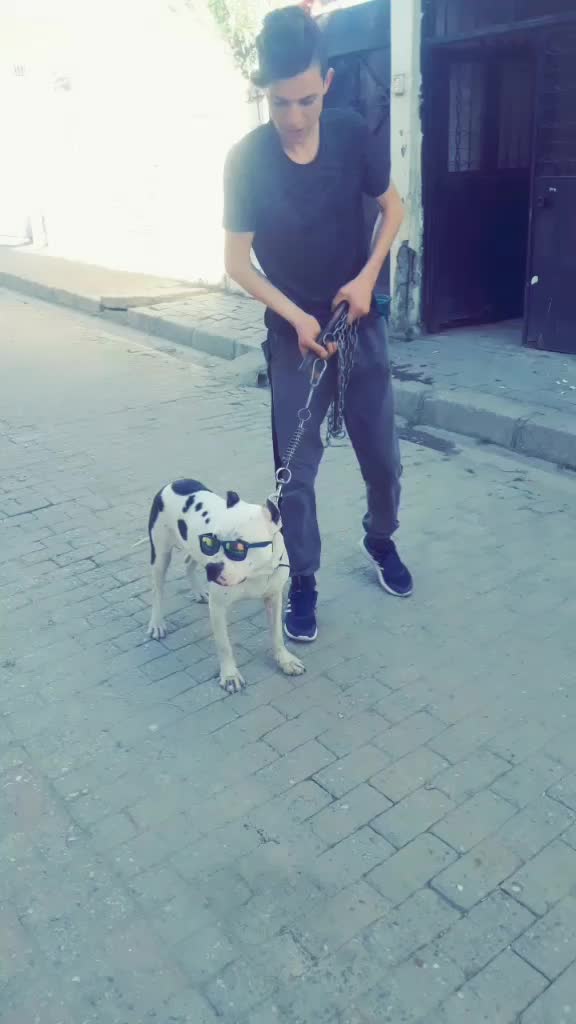 @sarı0951