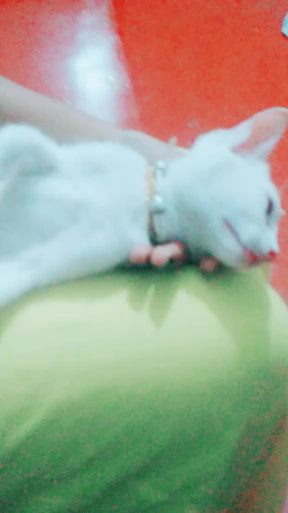 @achu(aami)