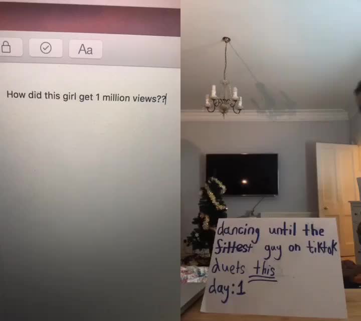 @ᓚᘏᗢ