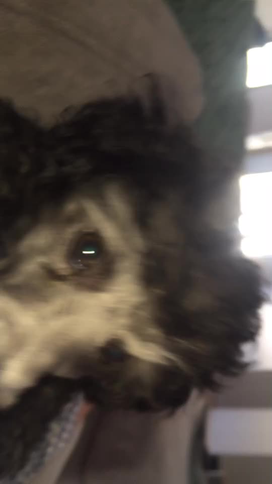 @𝐿𝒾𝓁𝓁𝓎