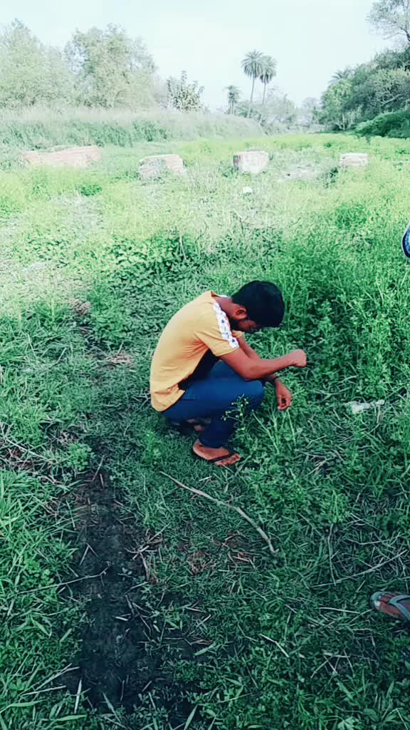 @Kaif jogi