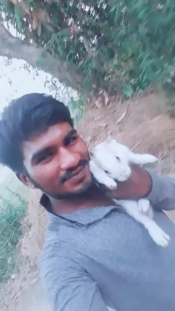 @Aman Malik