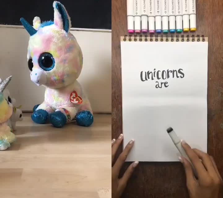@🦄🐱Unicat Fan🐱🦄
