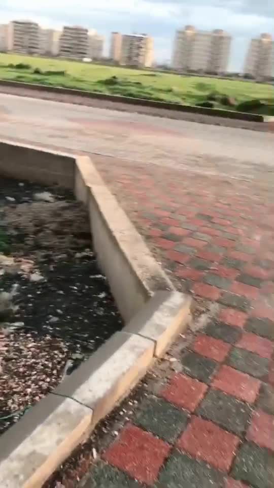 @Ada