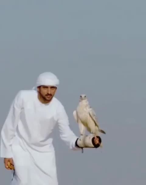 @shaik_riyan_143