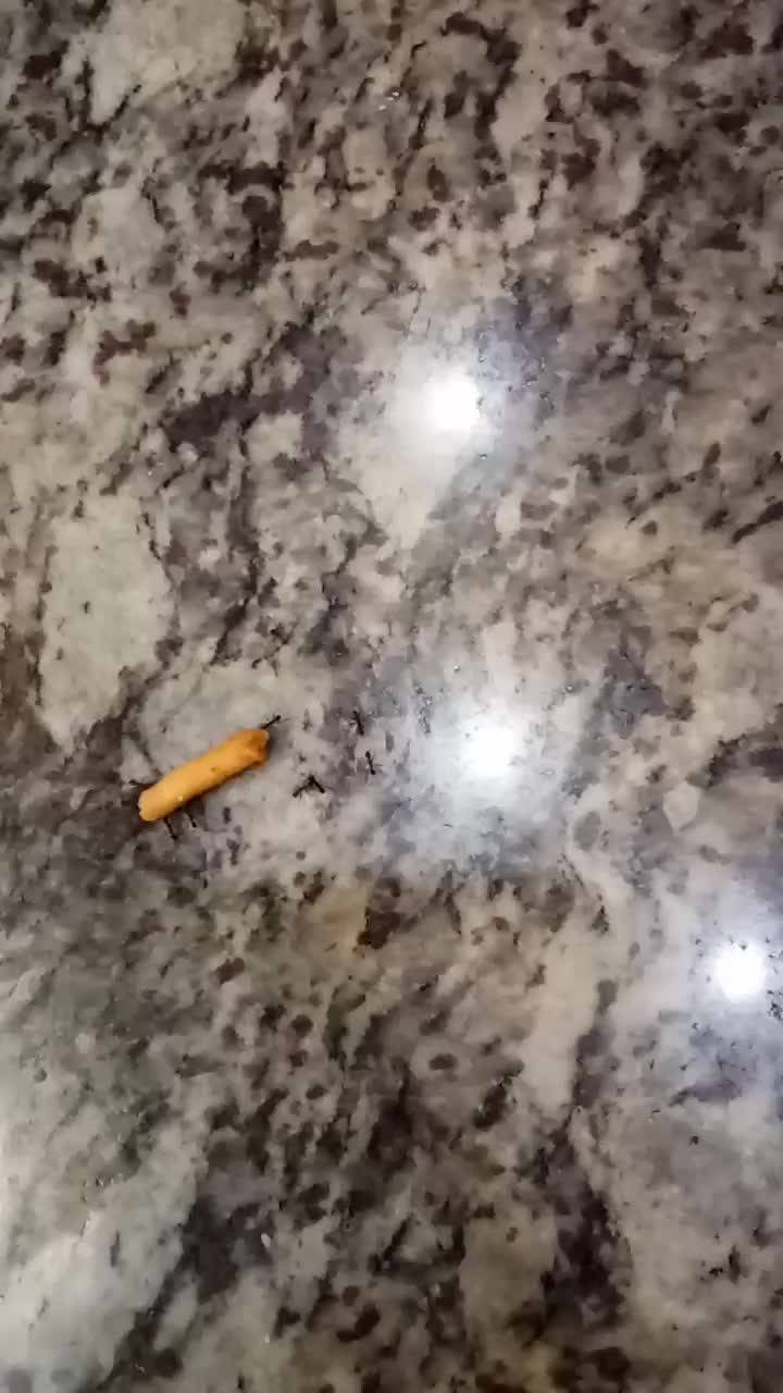 @rajasudha