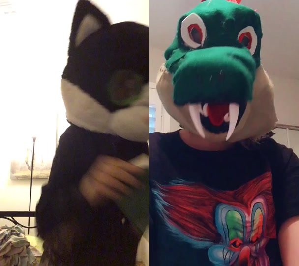 @gay.cat.furry