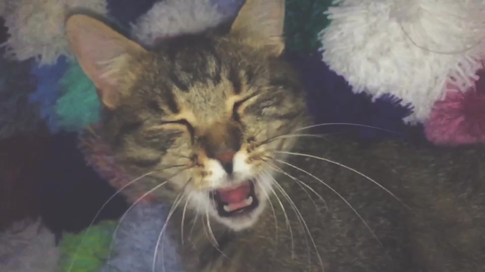 @cs.cs.kitti