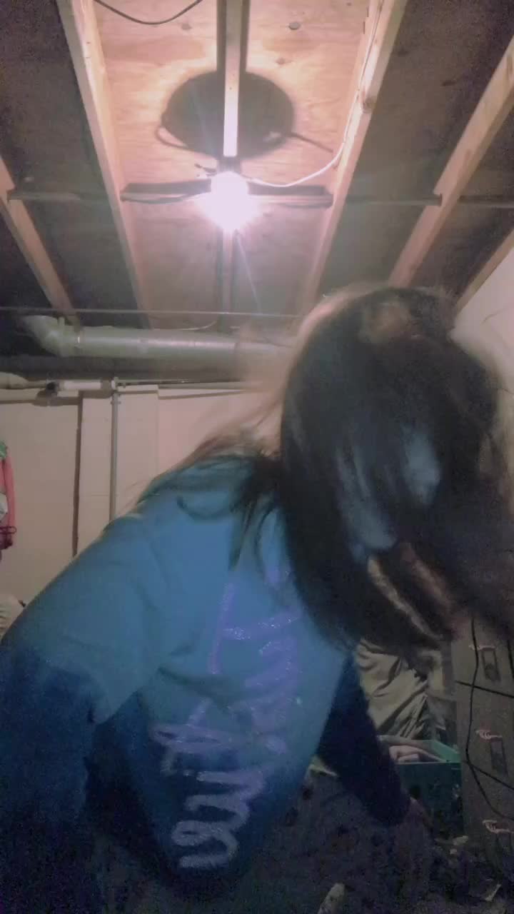 @🦔