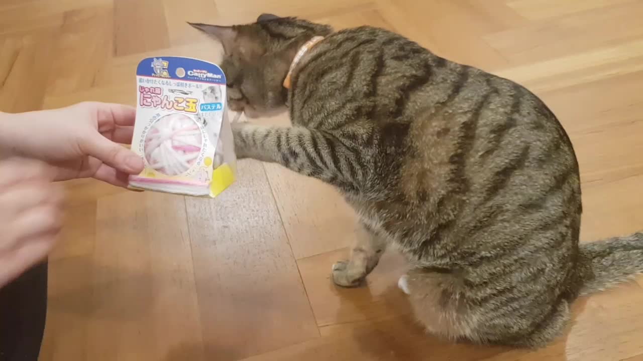 @만수루