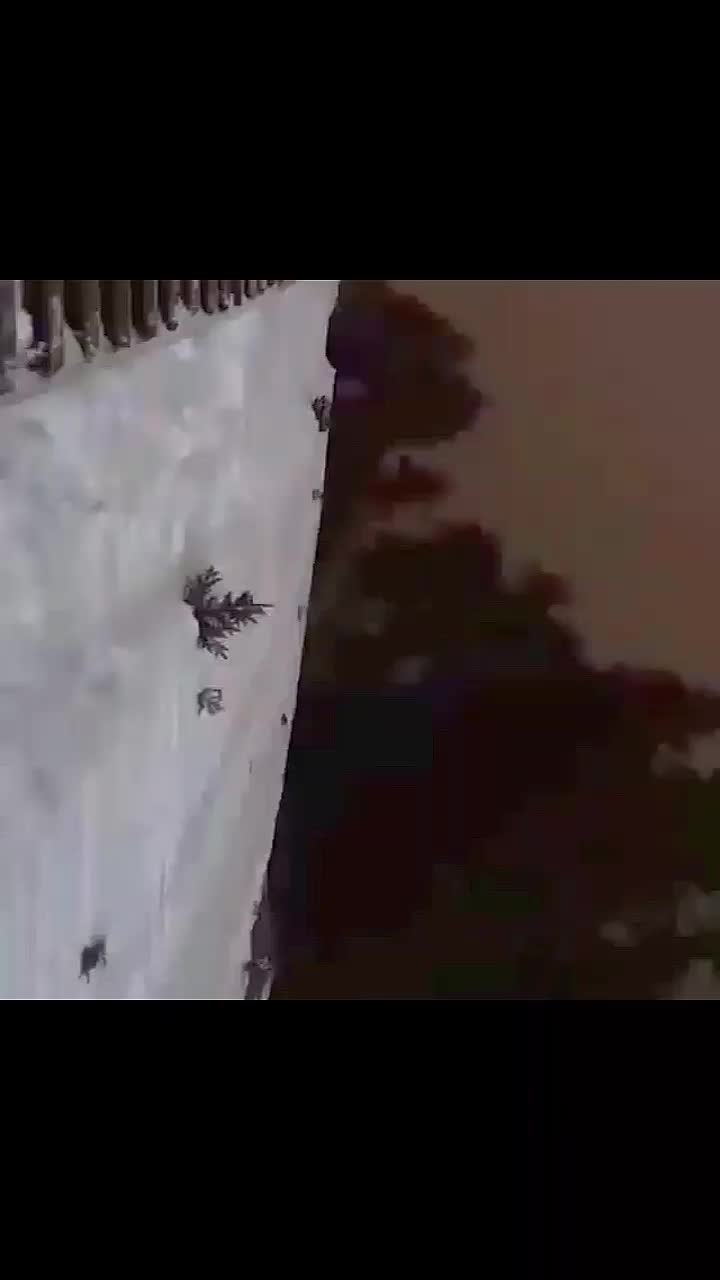 @Vladimir Baulin
