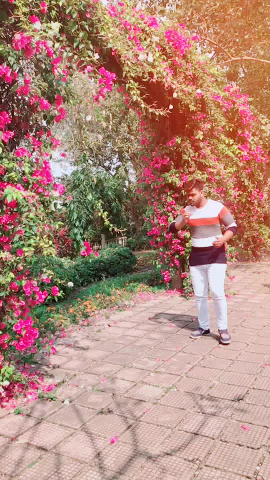 @Rohit Soni