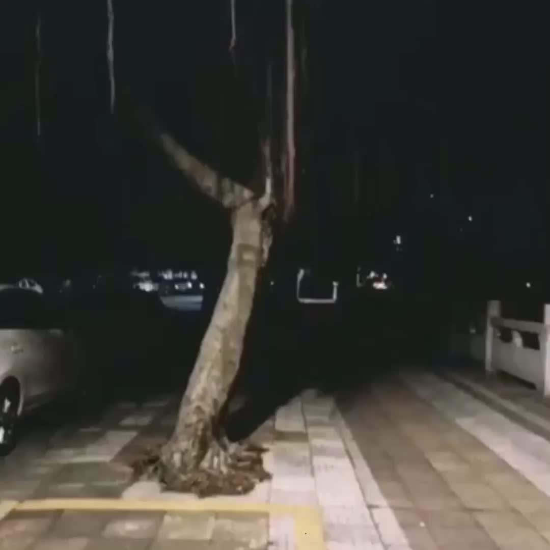 @SWORDx3