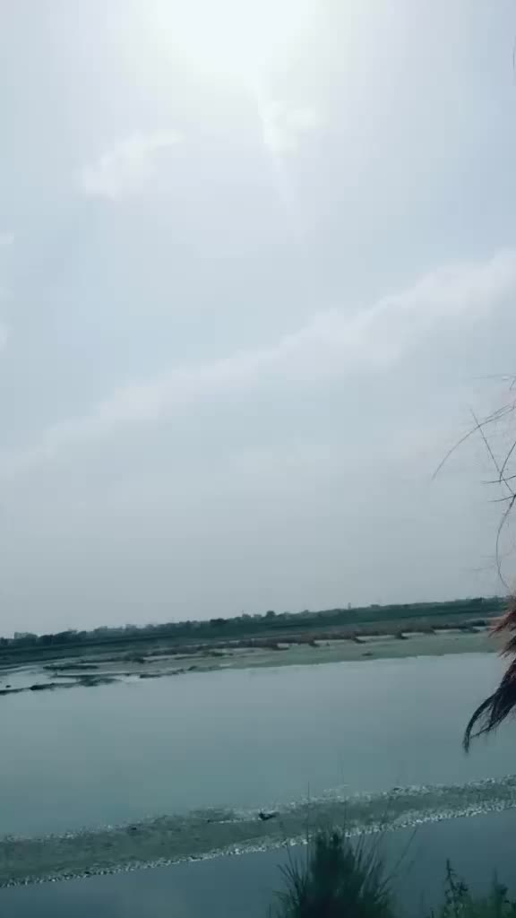 @Shubhanjali Singh