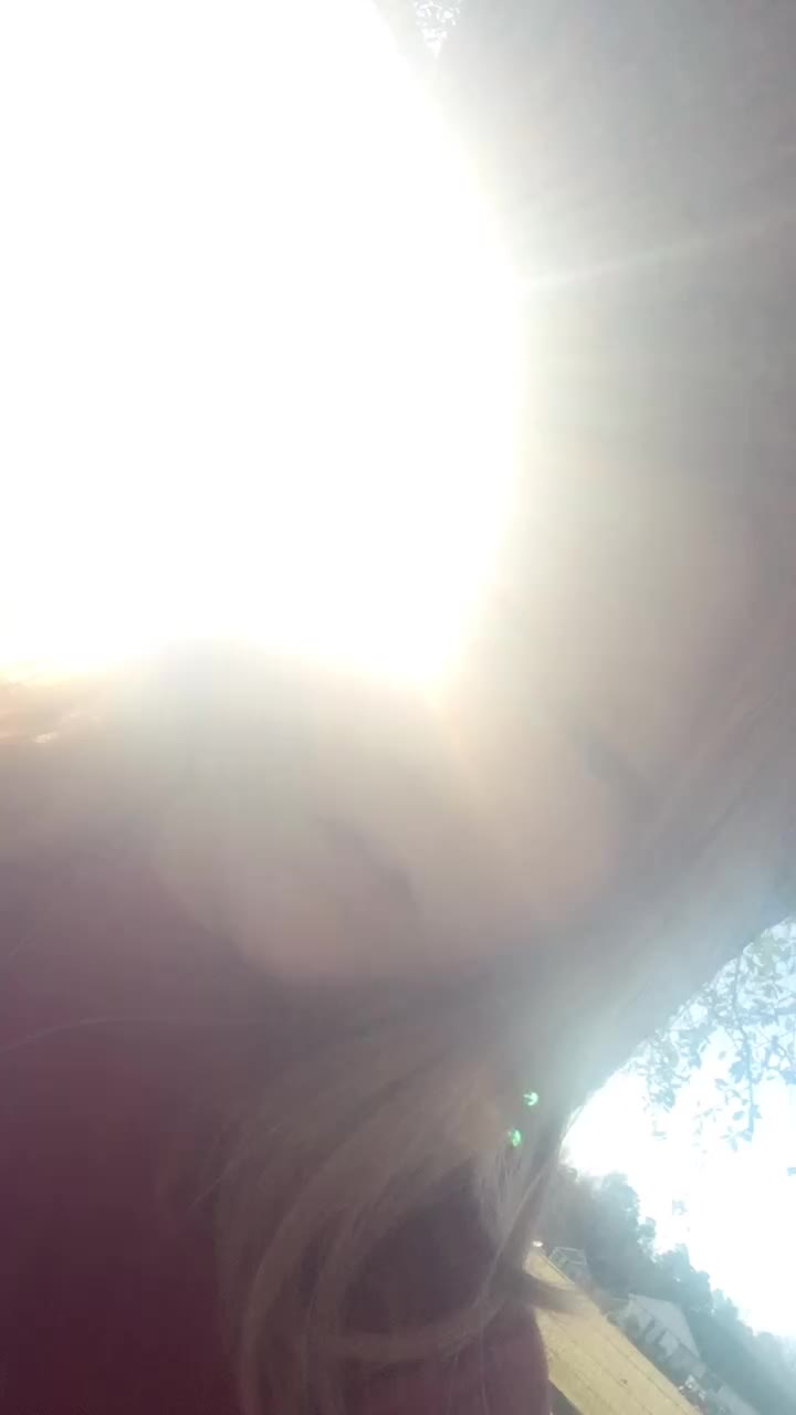 @Lissa_bear
