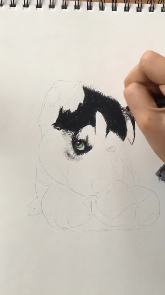 @drytdraw