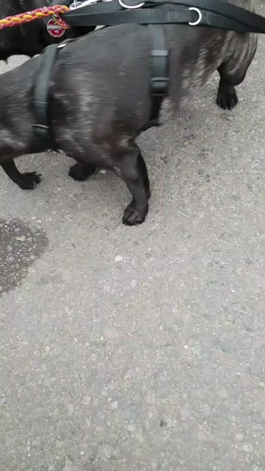 @Emma Frops