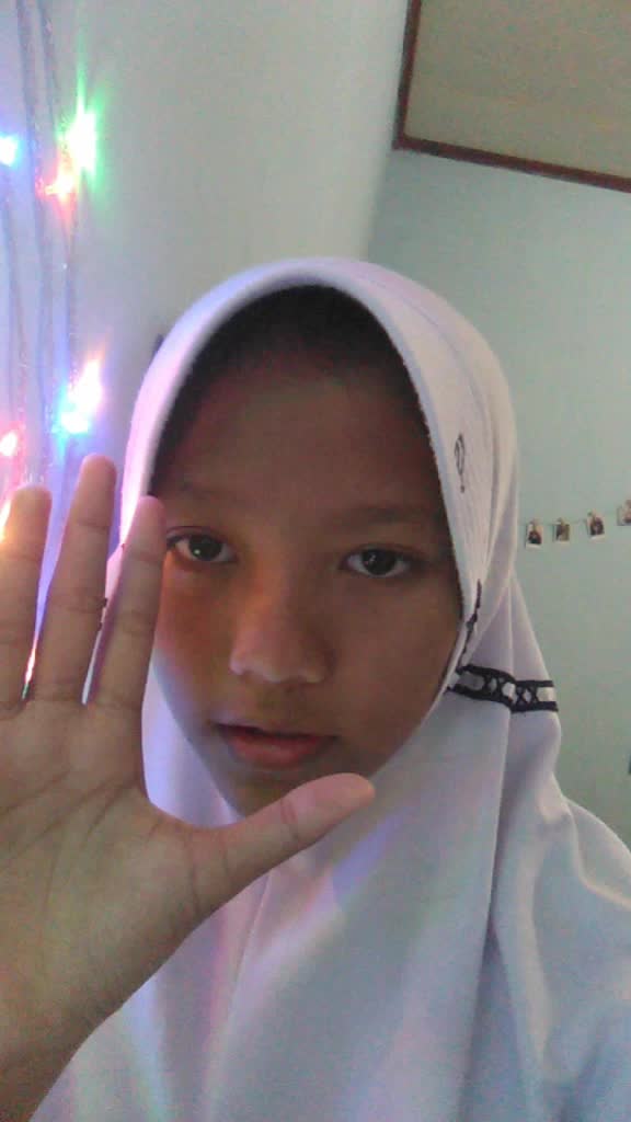 @linjatih