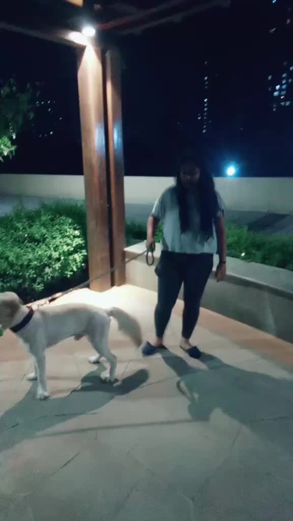 @soni_vaishnav