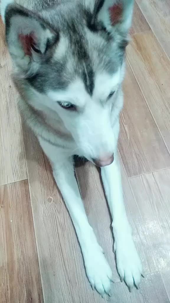 @НАТАЛЬЯ ЛИМАНСКАЯ
