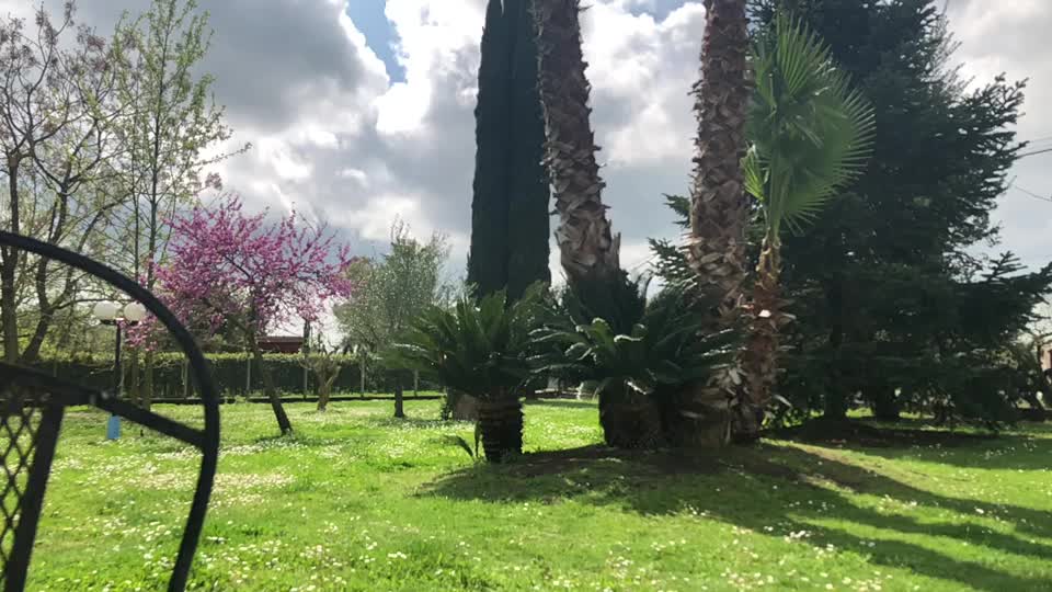 @𝑱𝒖𝒍𝒊𝒆 🌺