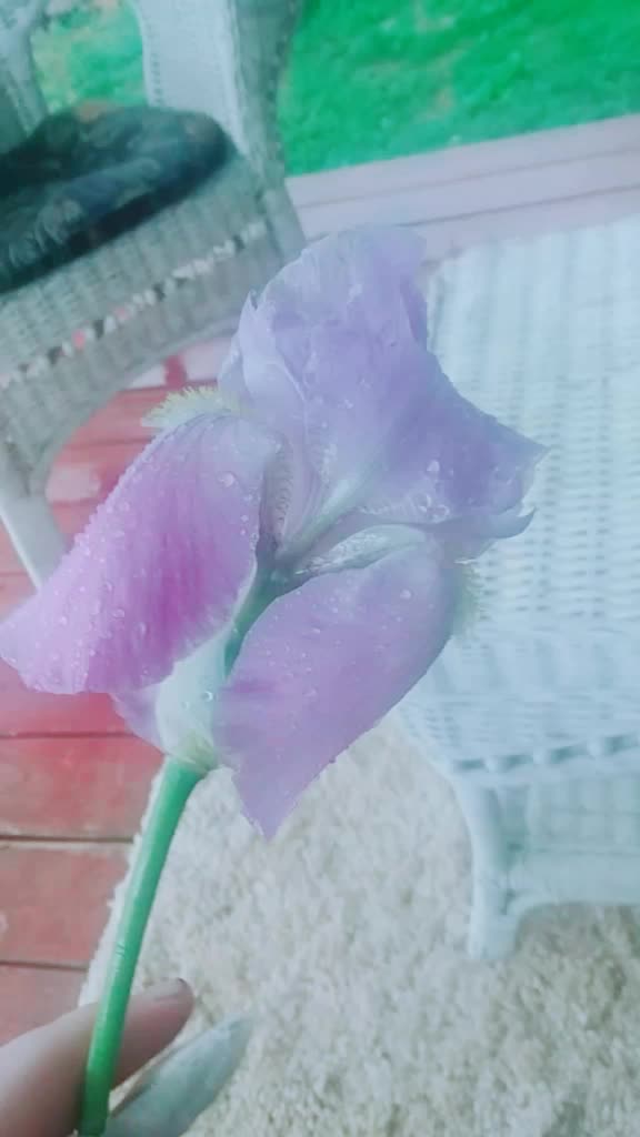 @Teensy.Plut0