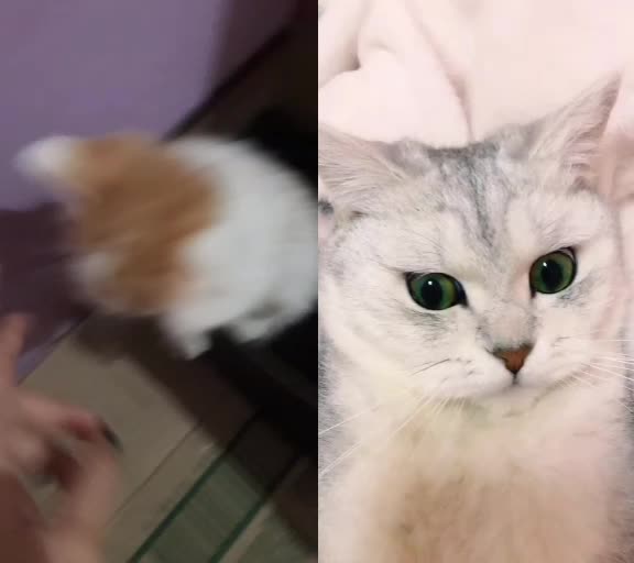 @Olivia