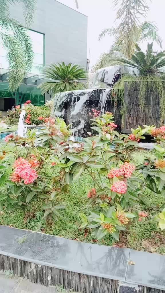 @Trishna Gohain