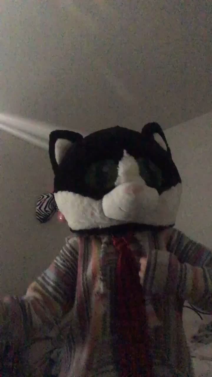 @gay.cat.furry