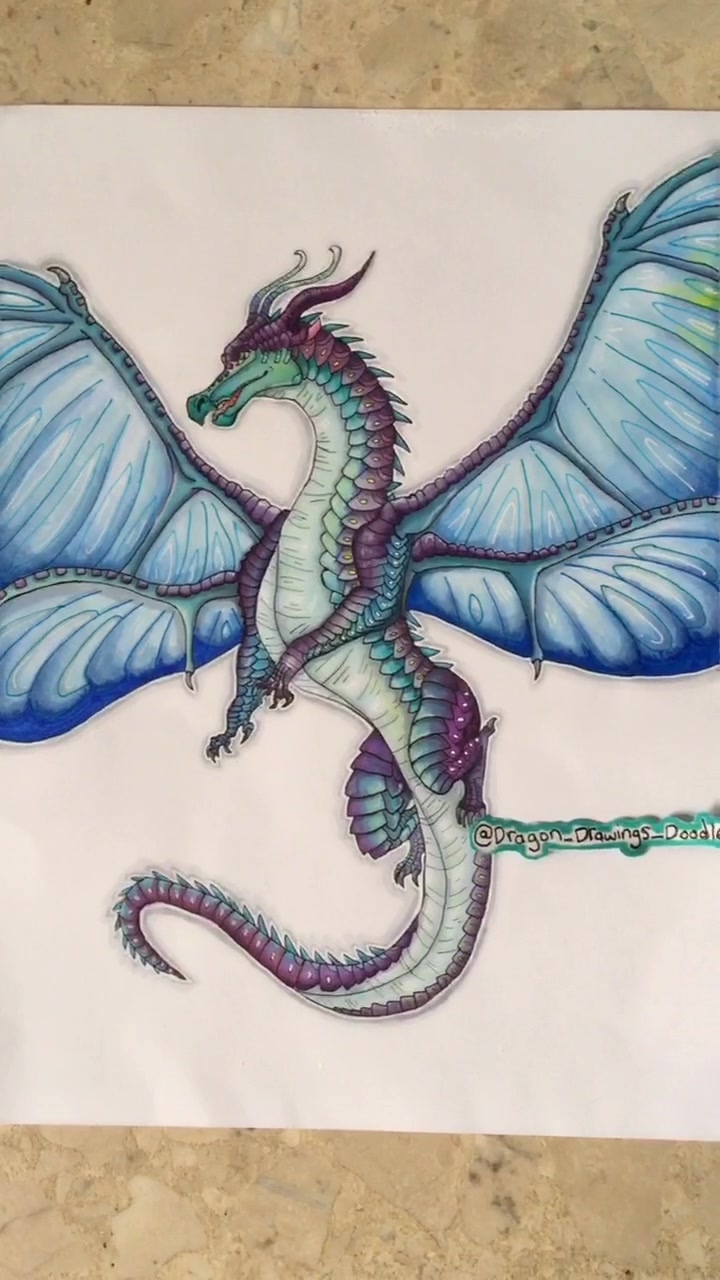 @💙Dragonart💙
