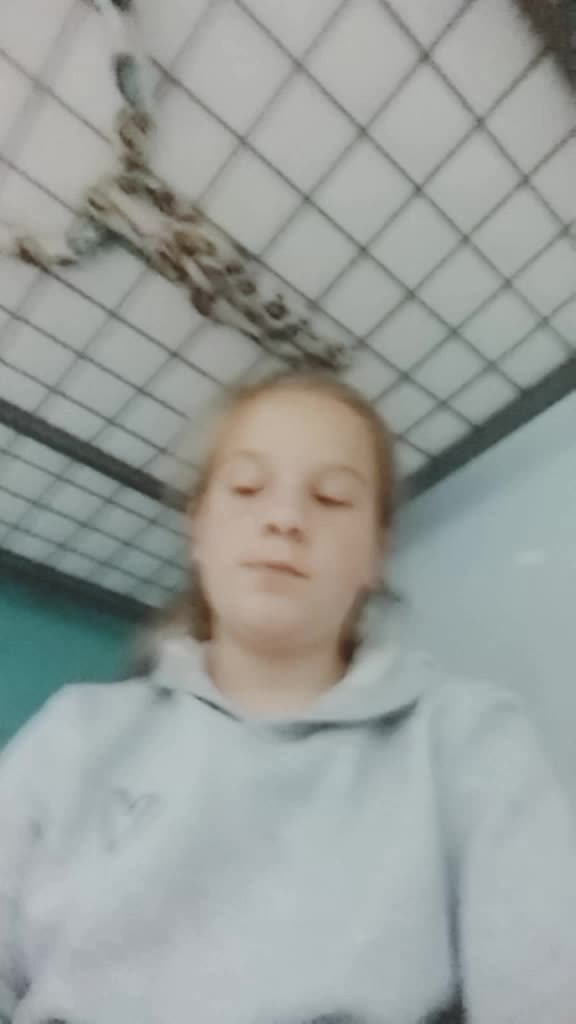 @freya.hydes55