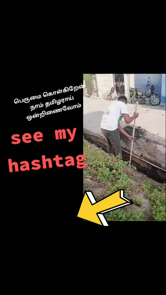 @chakoraj
