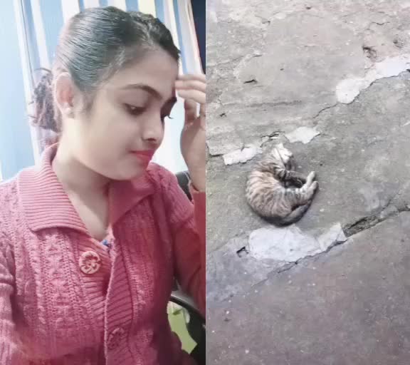 @Priya Kundu