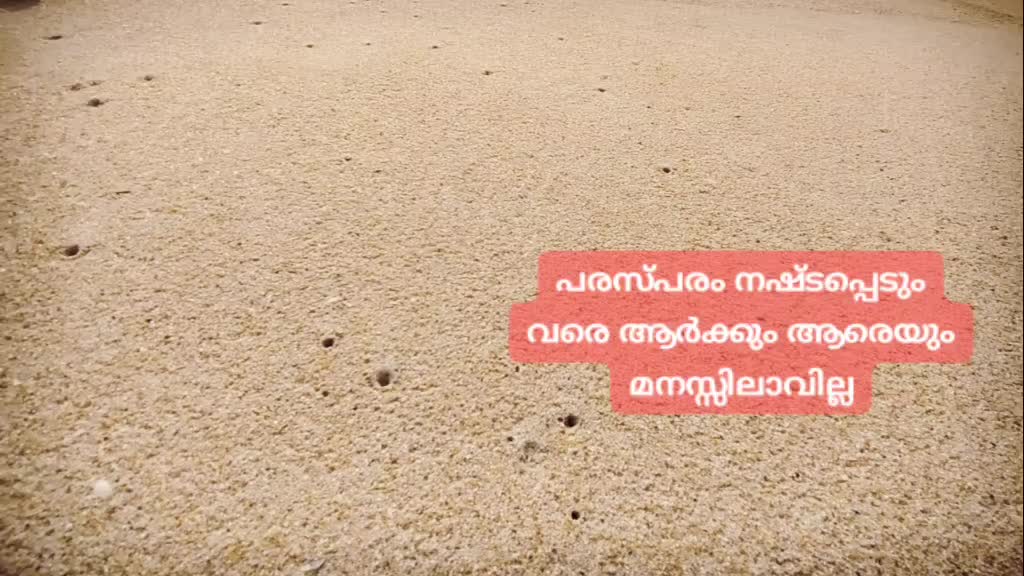 @Anshid