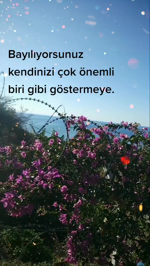 @soneriniz