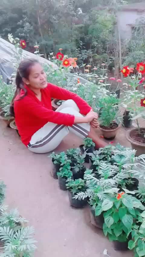 @rupali rs