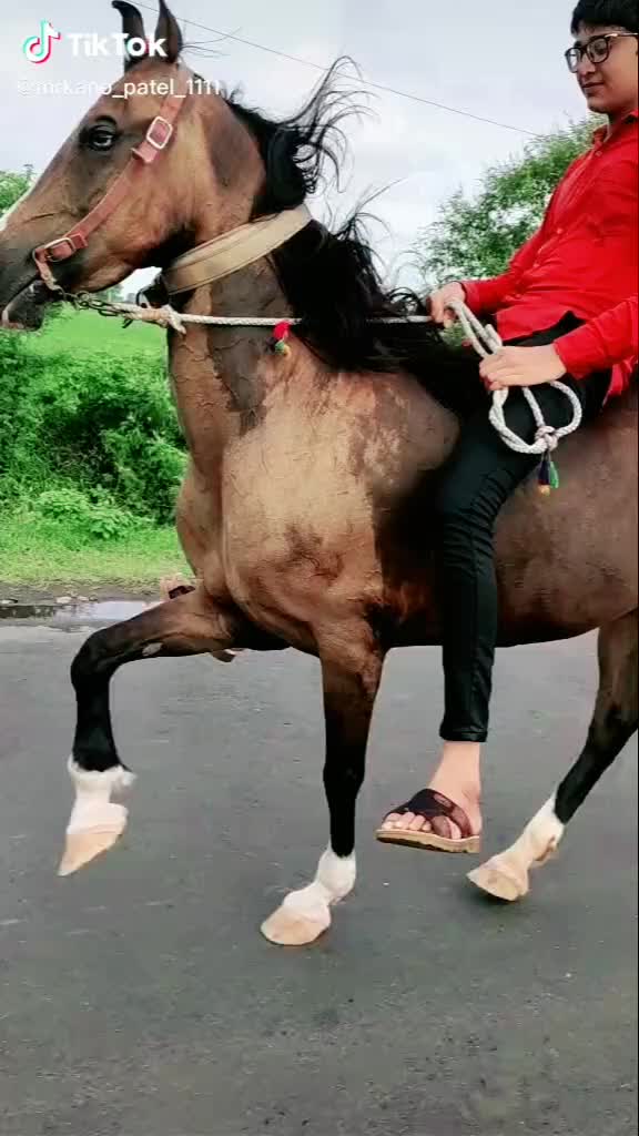 @sahil_sorathiya_009