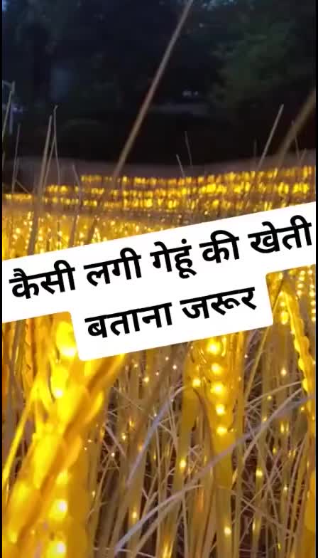 @Bharat Koli