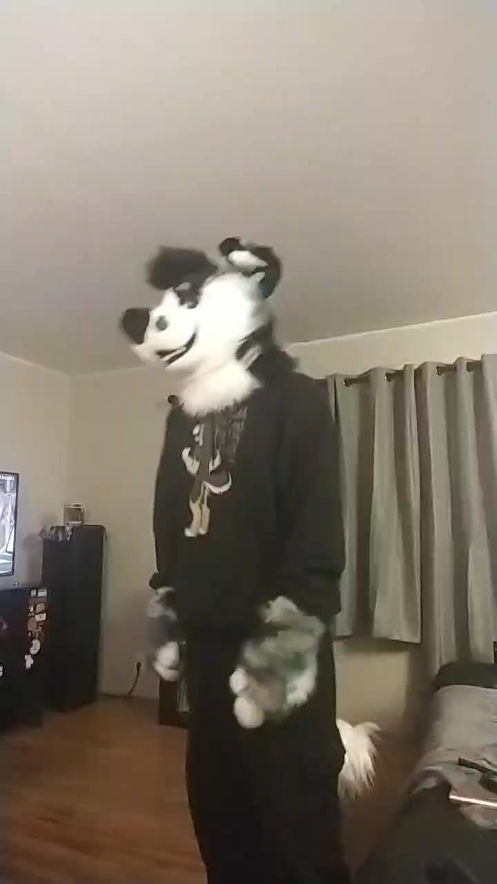 @Ryker_Mutt