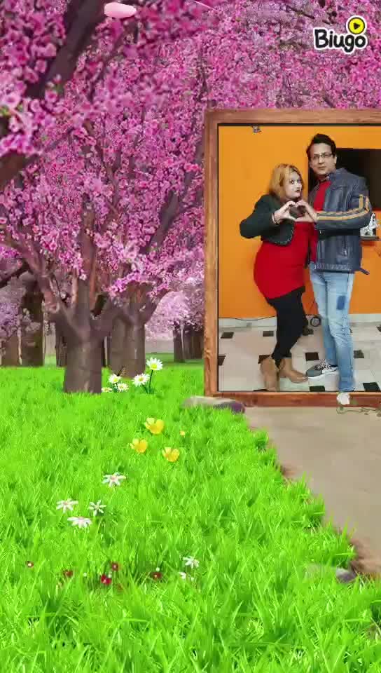 @user311084