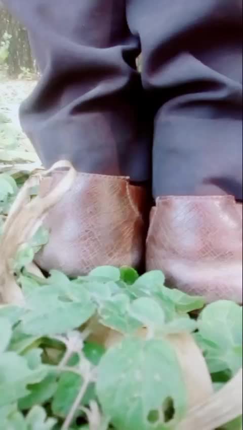 @Akash Dafadar