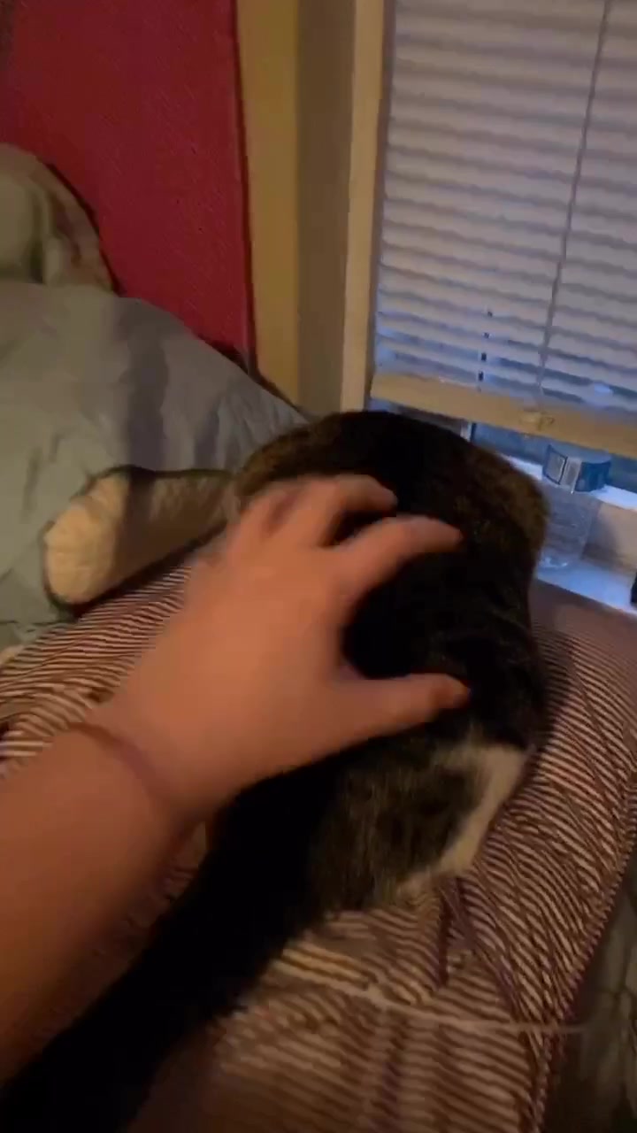 @chelsie⁷⁷⁷